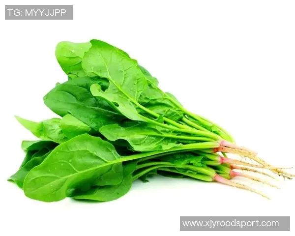 足球脚法的技巧与训练方法解析助你提升球技的全面指南 足球脚法的技巧与训练方法解析助你提升球技的全面指南